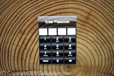 iPad password entry screen